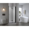 Shower door folding SH01E black 1200mm