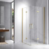 Square shower cabin R-KZ08D Gold 1000x1000mm glass 6mm