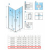 Square shower cabin R-KZ08D Gold 1000x1000mm glass 6mm