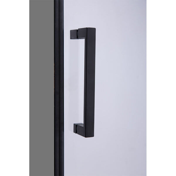 Shower Swinging door SH08E 1200mm glass 6mm